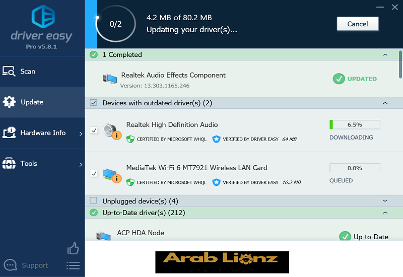 تنزيل برنامج Driver Easy Professional النسخة الكاملة لتعريفات الكمبيوتر 2025 arablionz.org