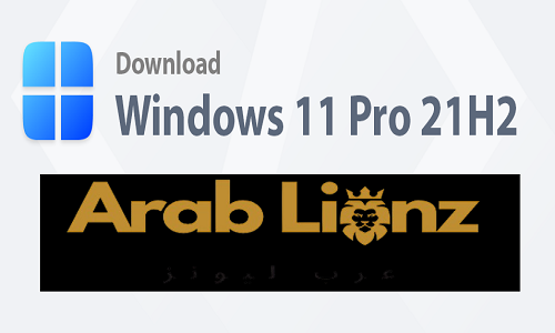 تنزيل Windows 10 Pro 21H2 Compact Lite (Phoenix LiteOS 10) Arablionz.org